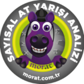 MORAT - Google SEO Çalismasi